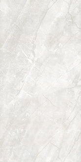 PALACE STONE GLOSS 300X600